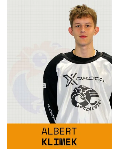 Albert Klimek